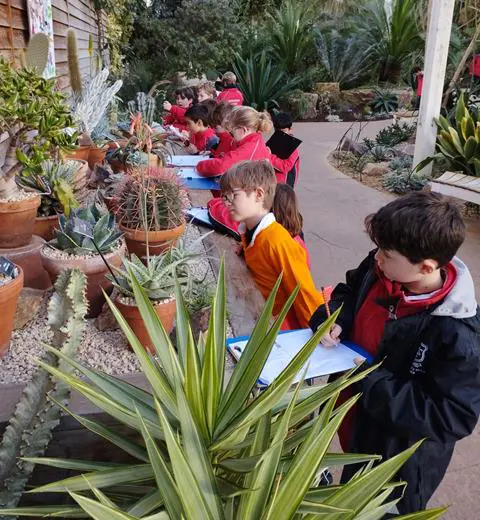 boys looking at plants