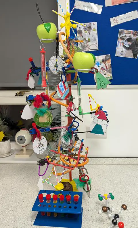 Christmas tree created by the Science Club
