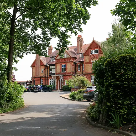  OptimizedImage,Optimized