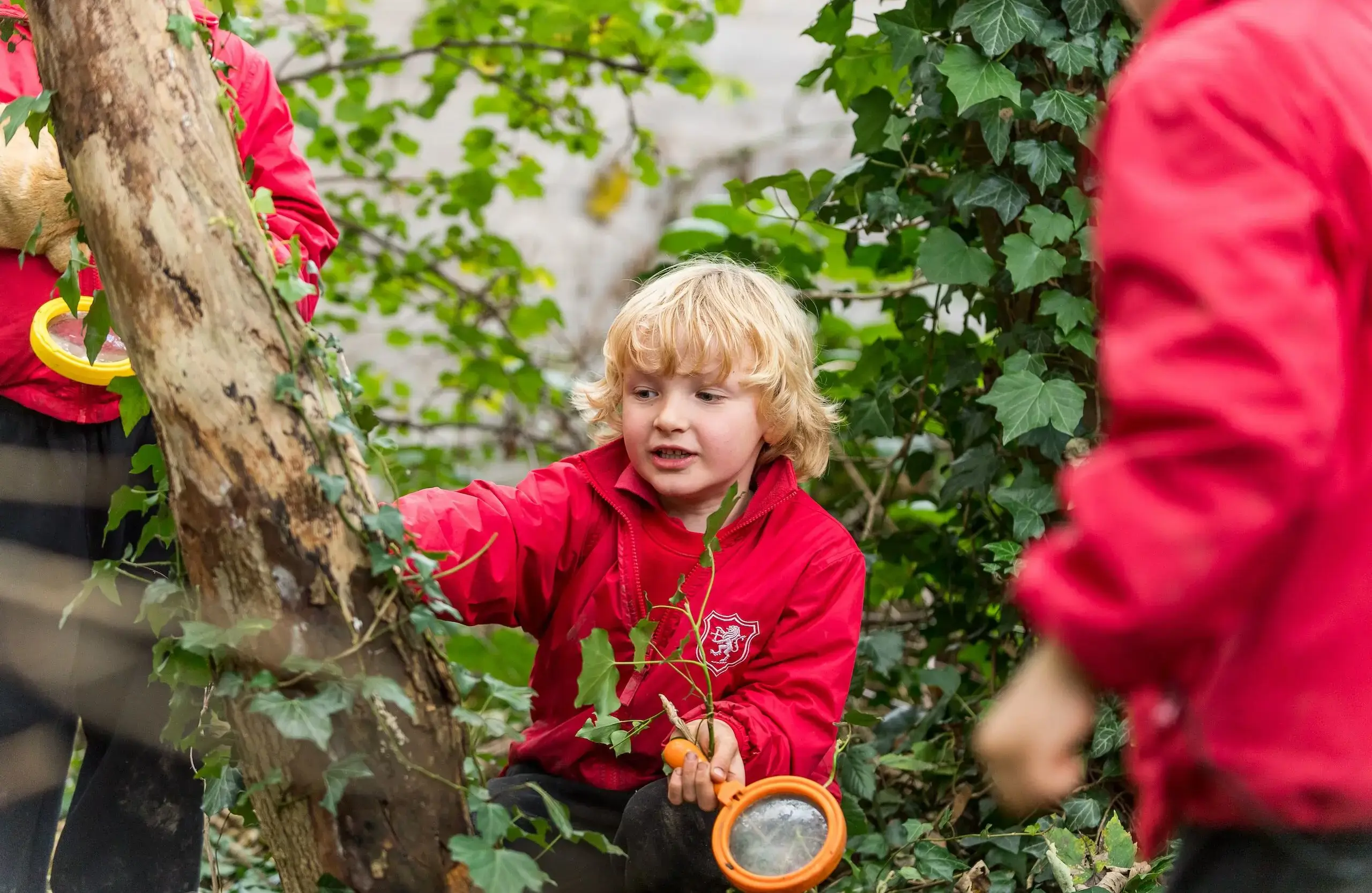 Student exploring wildlife, investigating a tree