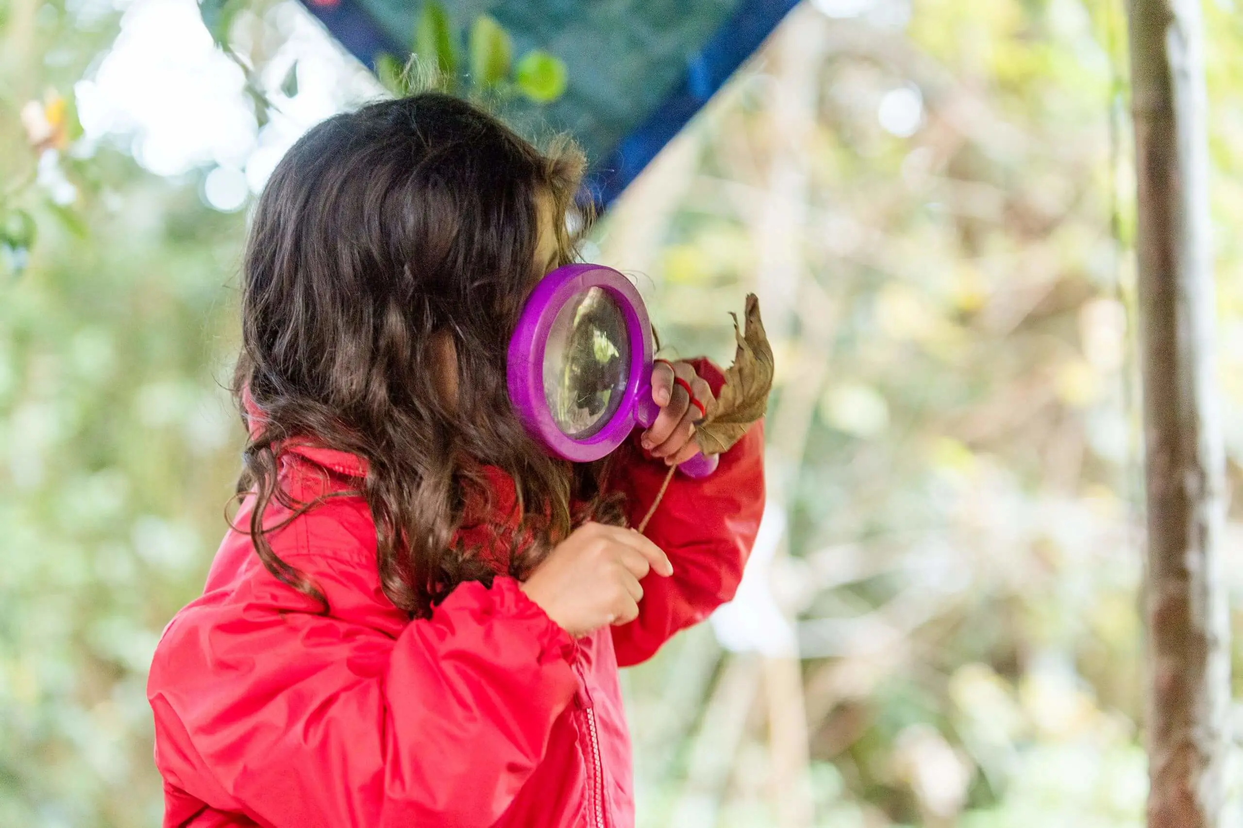 Shrewsbury House Pre-Prep student inspecting a fallen leaf through a magnifying glass