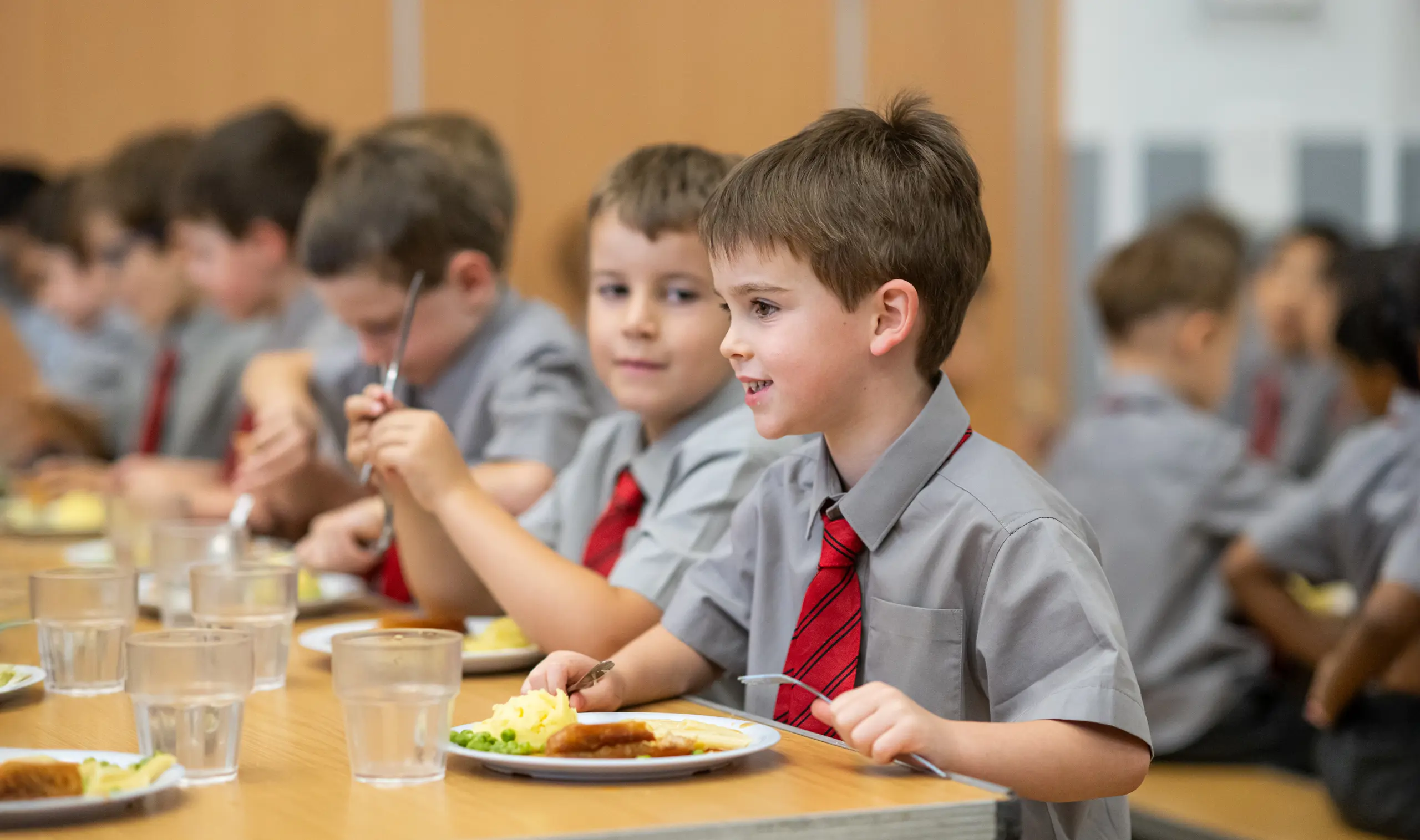  OptimizedImage,,,Optimized