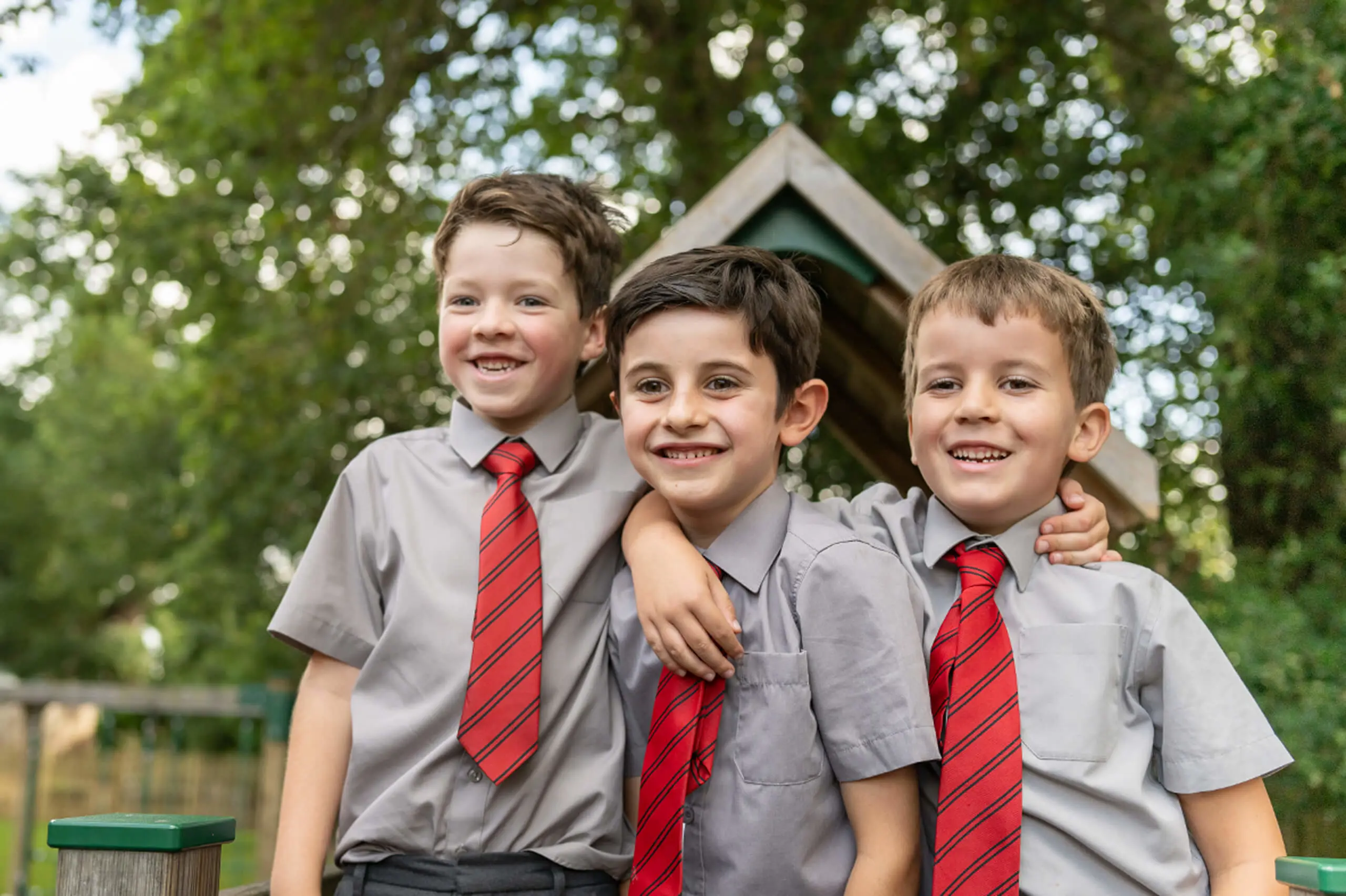 OptimizedImage,,,Optimized