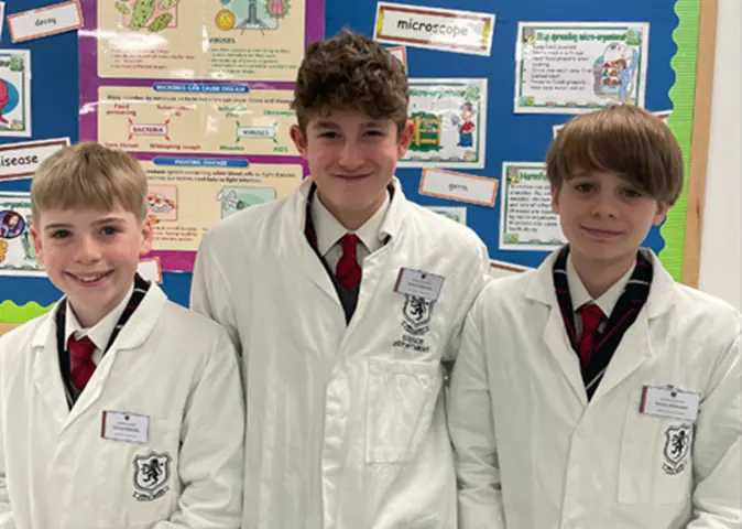 OptimizedImage,,,Optimized