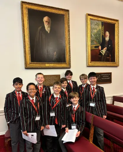 OptimizedImage,Optimized