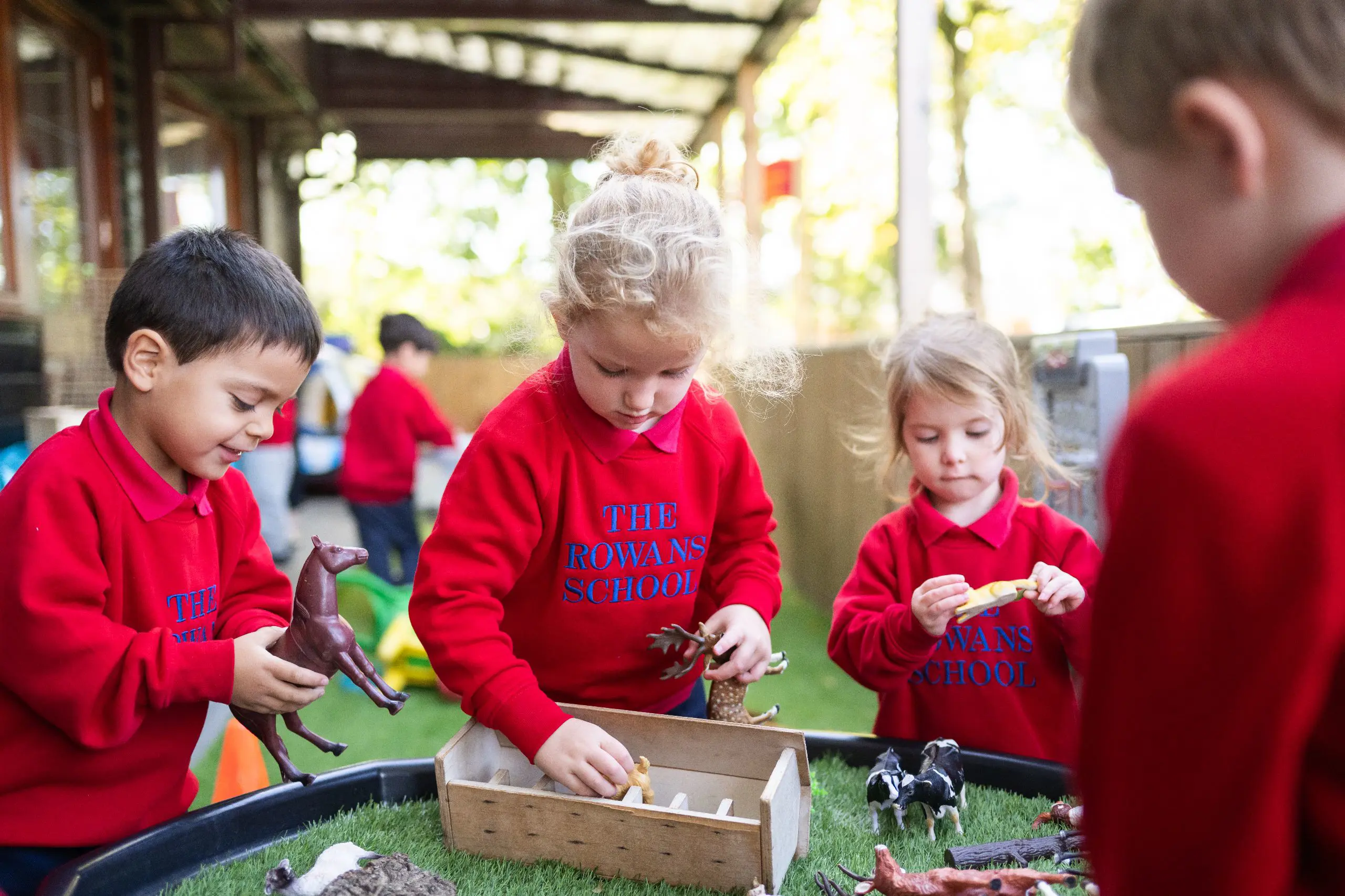  OptimizedImage,,,Optimized