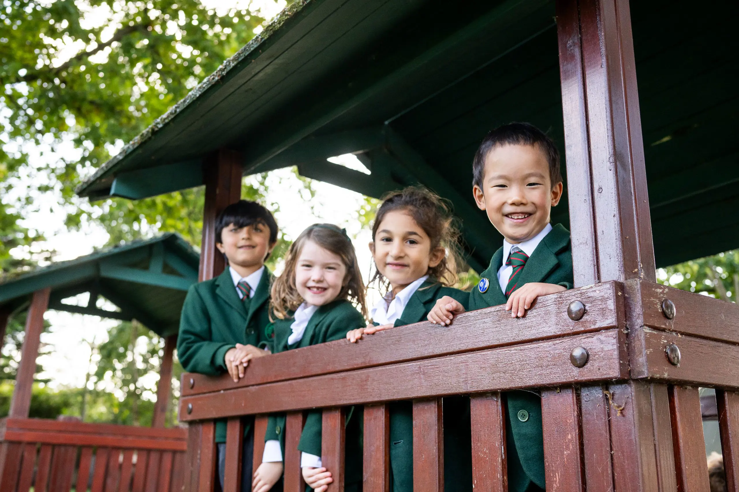  OptimizedImage,,,Optimized