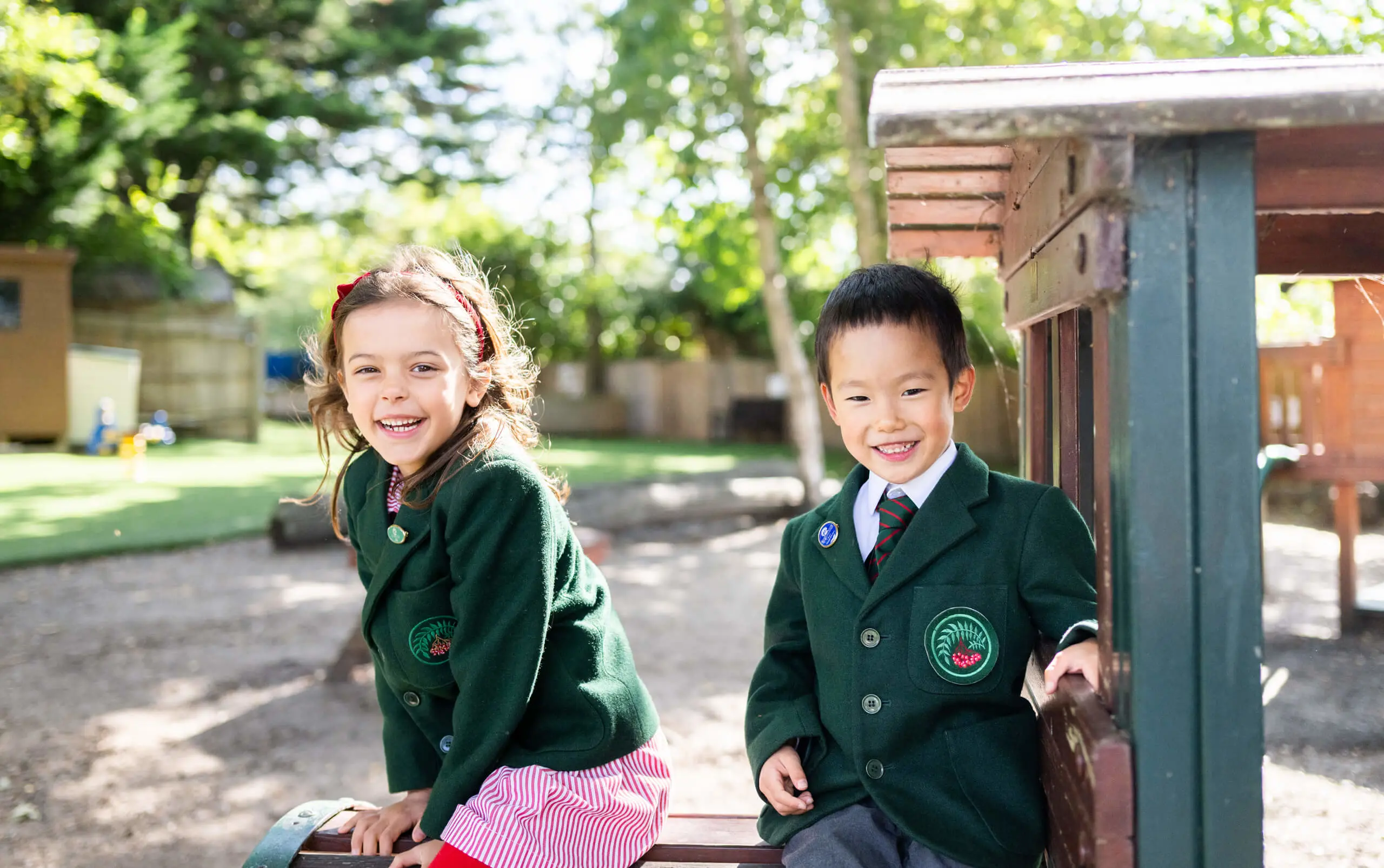  OptimizedImage,,,Optimized